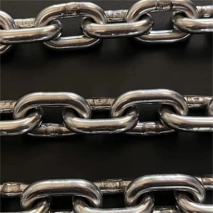 Lanac od nehrđajućeg čelika na obješenoj transportnoj liniji za klanje peradi