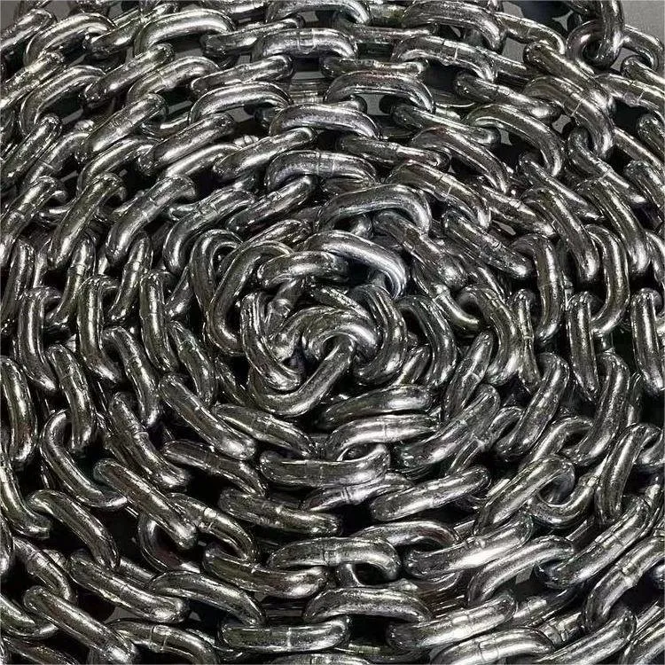 202312051013451 202312051013451